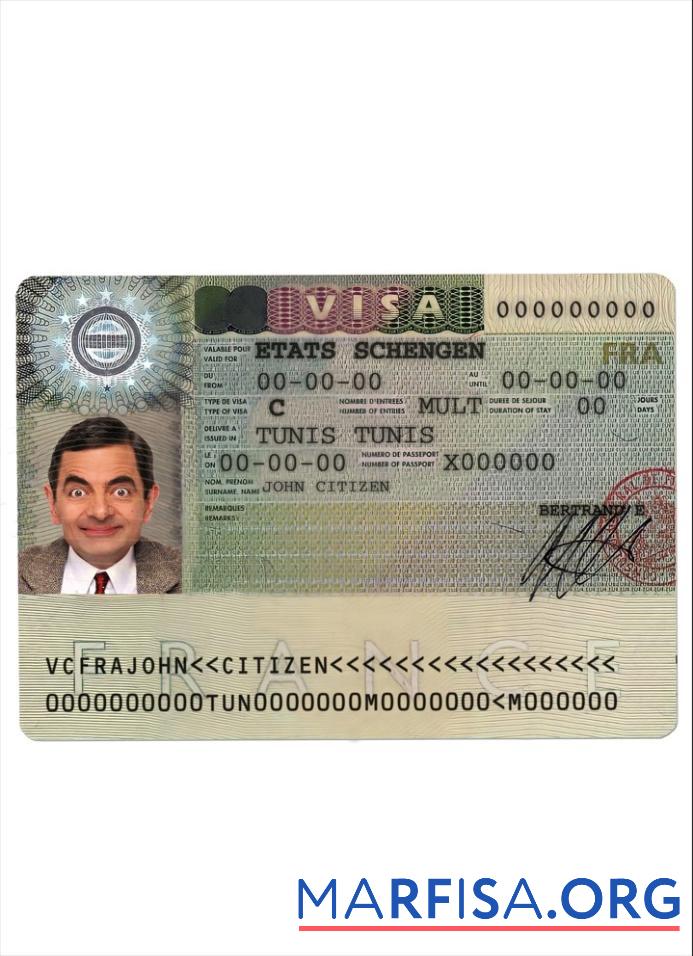 Realistic France Schengen Visa download for verification
